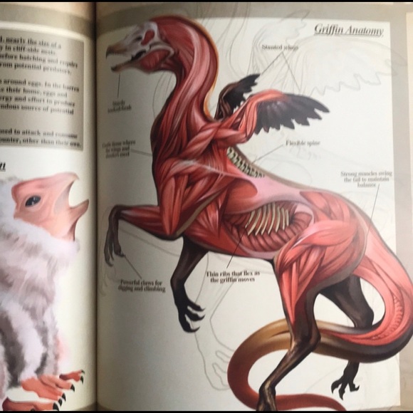 A Natural History of the Fantastic NWOT - Picture 3 of 9